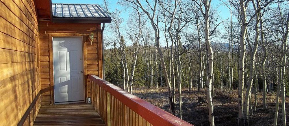 Denali Touch Of Wilderness B&B 힐리 외부 사진